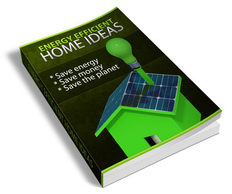 Product picture How to Have Energy Efficient Home Ideas with PLR